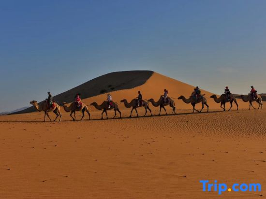 Shapotou Xingyue international camping base