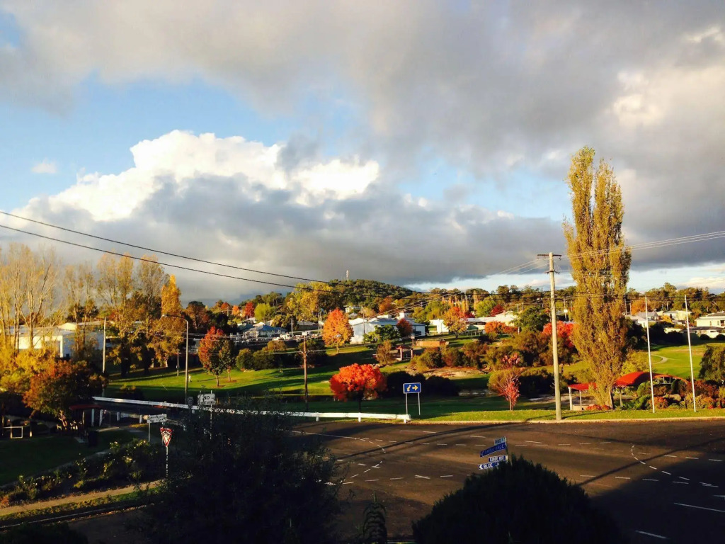 The Vines Motel & Cottages