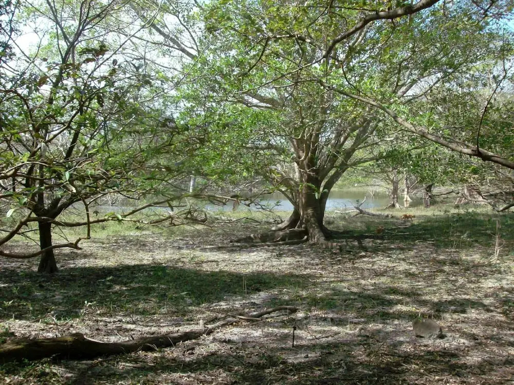 At Juan Manuel Eco-wellness, Gorgeous Casita, 2 Bedroom, 1 Bath