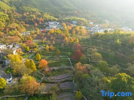 Hongcun Wushiyouxian · Tachuan Vacation Apartment