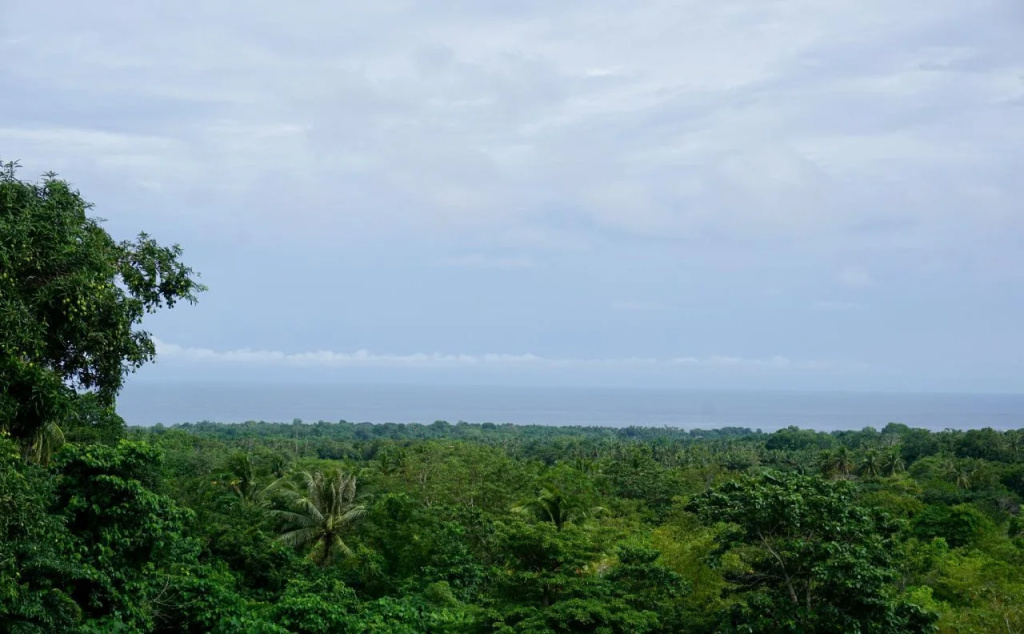 TheView Camiguin