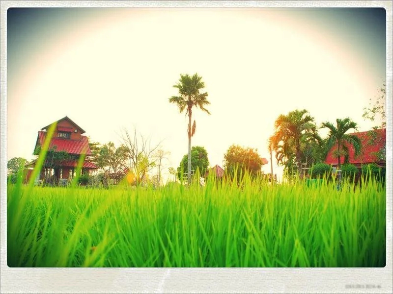 Rungaroon Resort