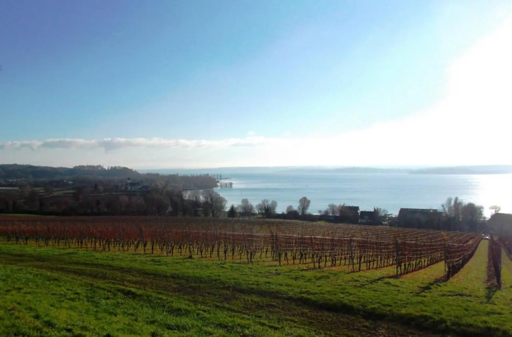 Haus Zur Gerberei 100m zum Bodensee