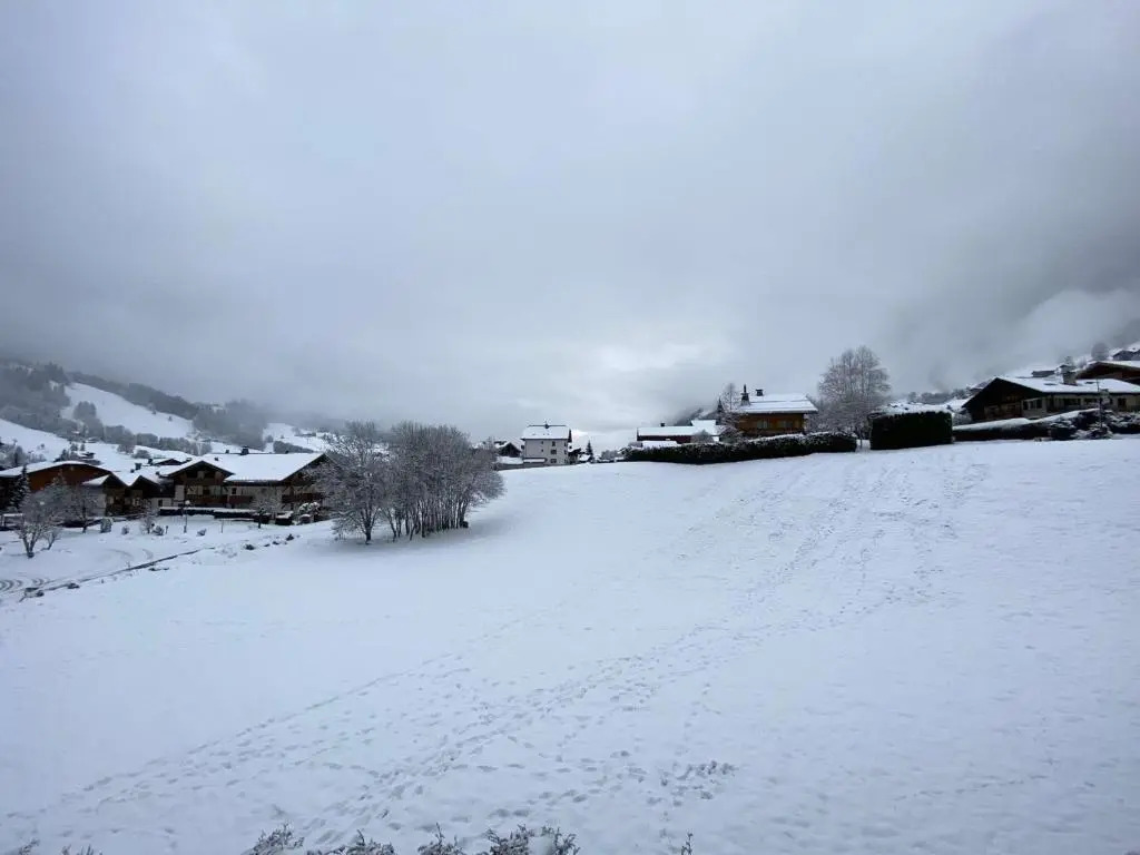 Appartement Praz-sur-Arly, 3 pièces, 6 personnes - FR-1-603-16