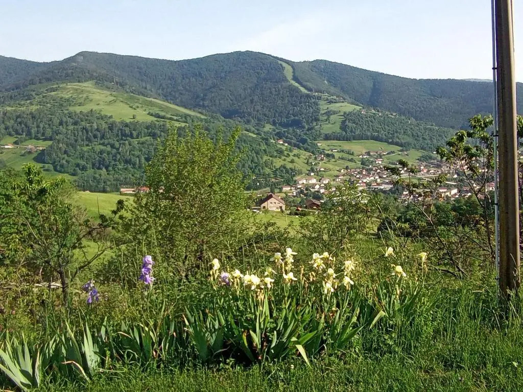 Location des Cimes