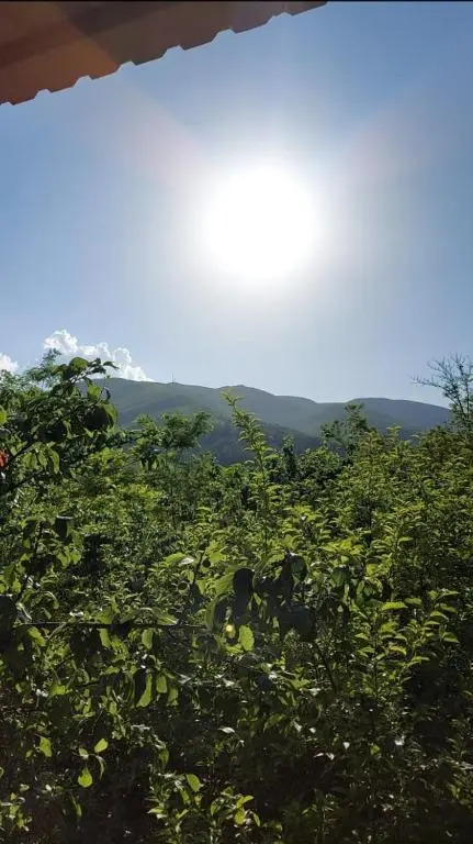 Guest house Sarajishvilze