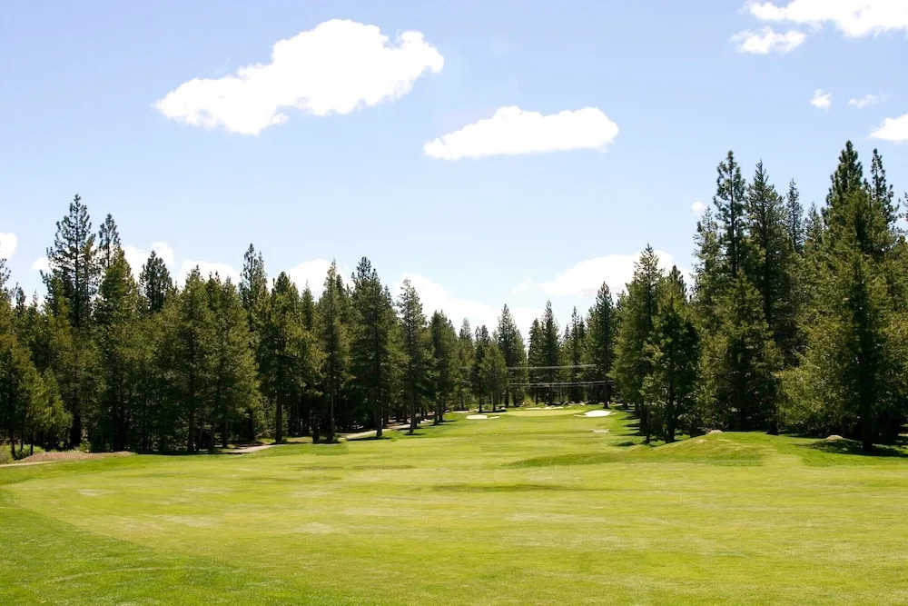 Roomy Forest-view W/ Private 2-car Garage 4 Bedroom Home
