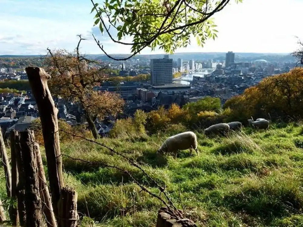 Gite des Coteaux