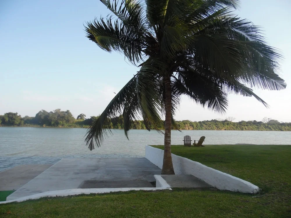 El Huerto del Bambu