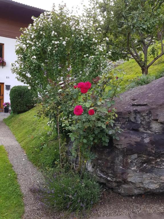 Reiter, Haus