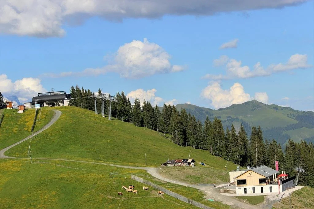 Schmiedhof Alm