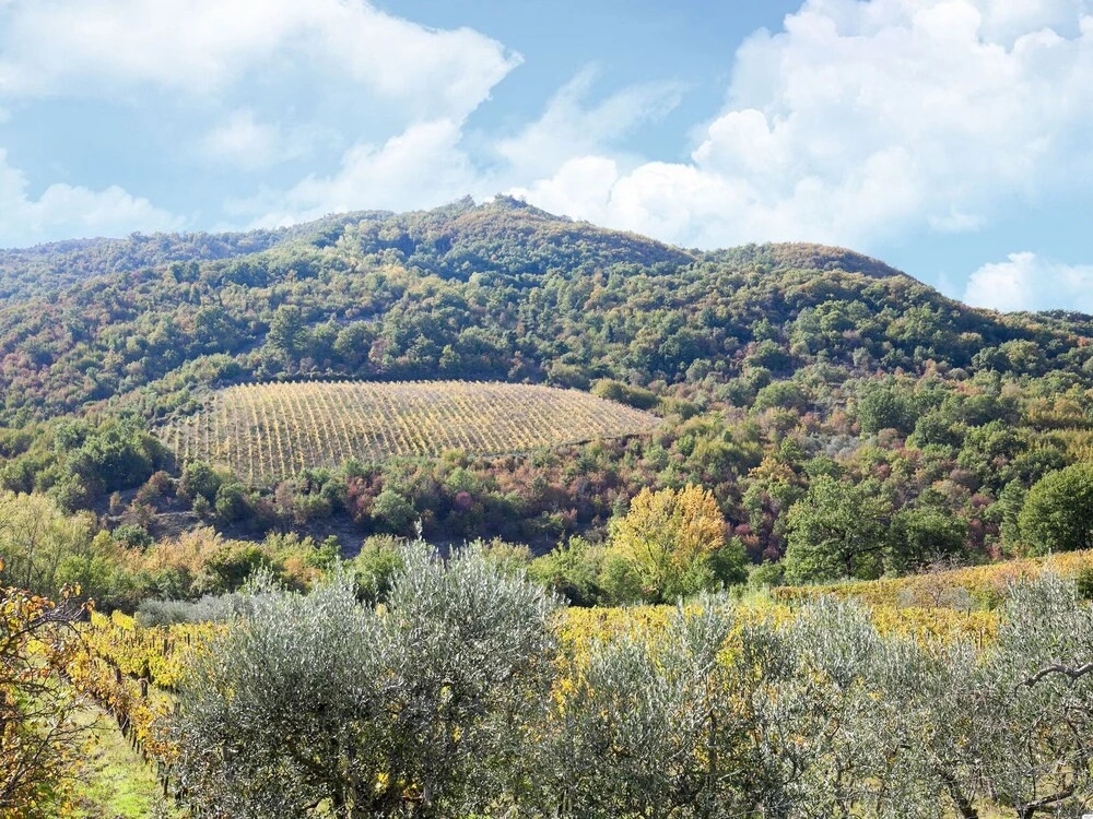 Elegant Holiday Home in Greve in Chianti With Swimming Pool