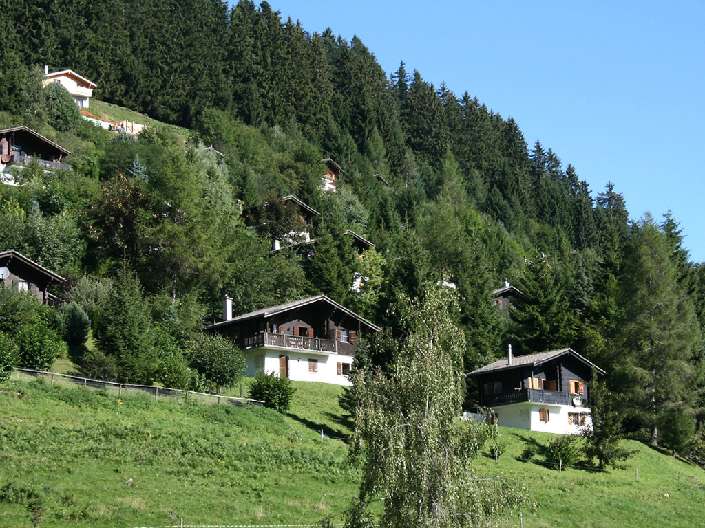 Chalet 1005