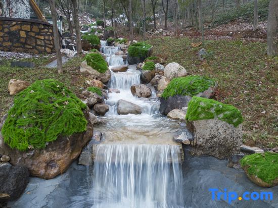 Nanshan Bamboo Seagull Nanshan Hot Spring Resort