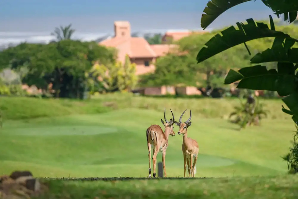 San Lameer Villa Rentals 10304