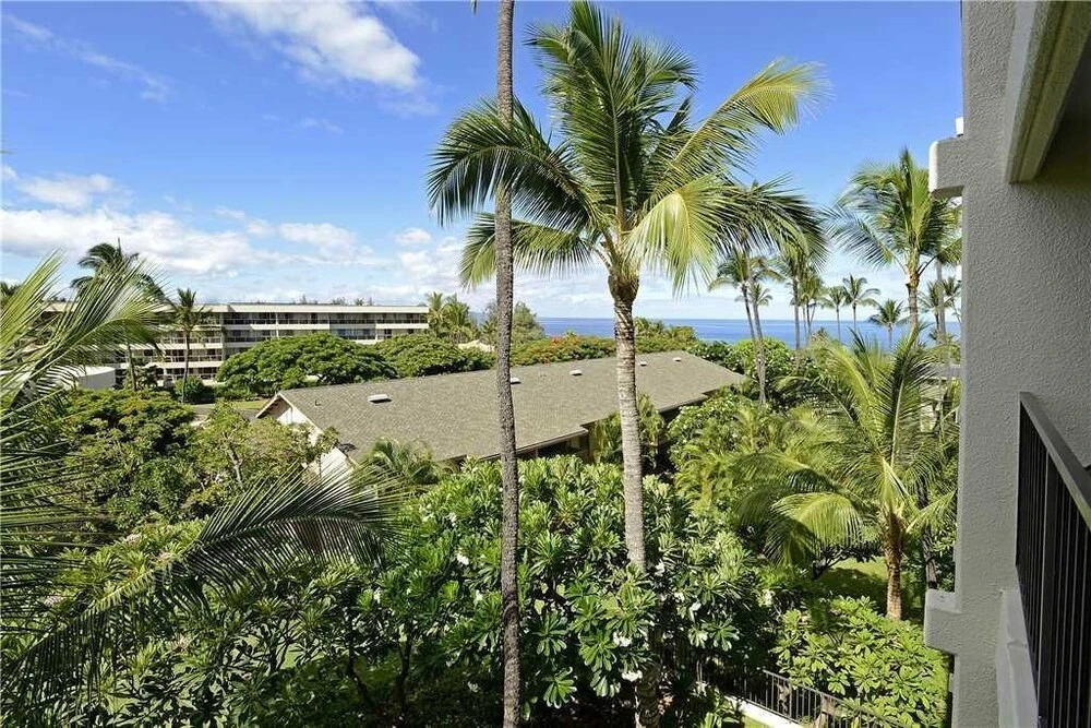 Kihei Akahi C-513