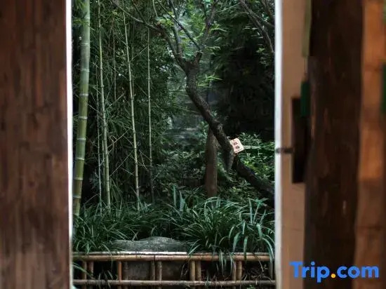 Zhi Zhi Home · Bamboo Art Homestay