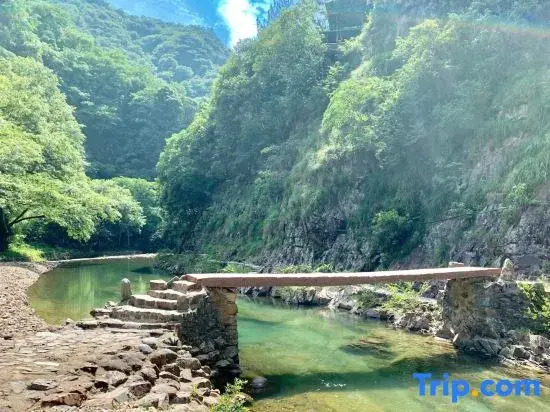 Jing County Chaxiang Renjia Farm Stay