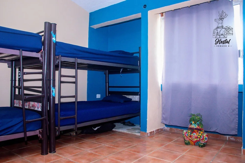 Venado 8