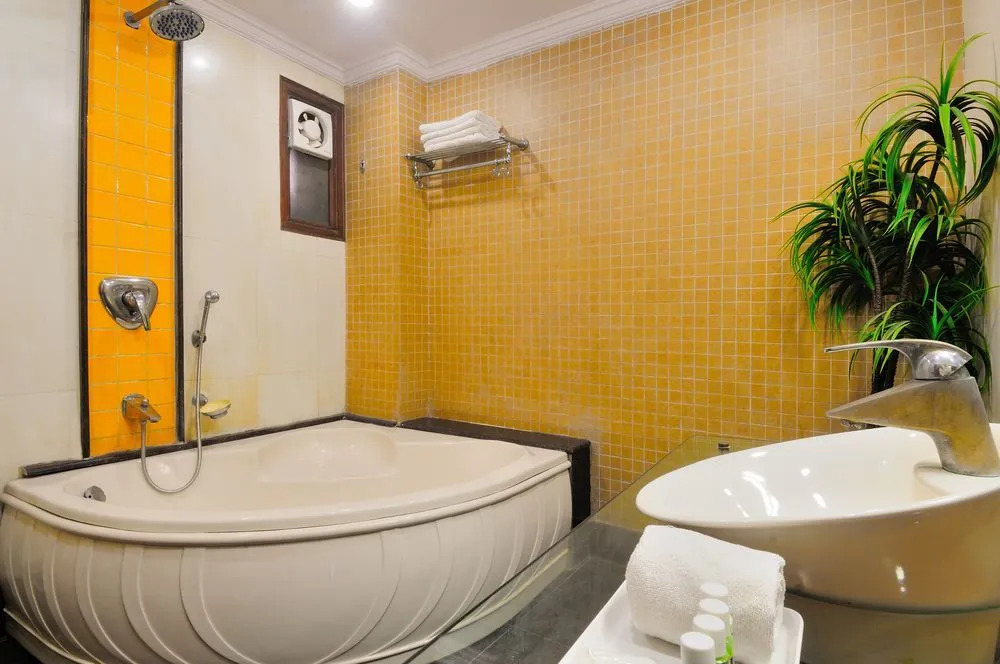 HOTEL GEESON INTERNATIONAL-New Delhi Railway Station-Paharganj