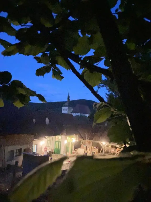 Saschiz 175 GuestHouse