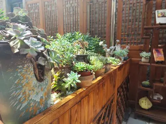 Yuebaitu Homestay