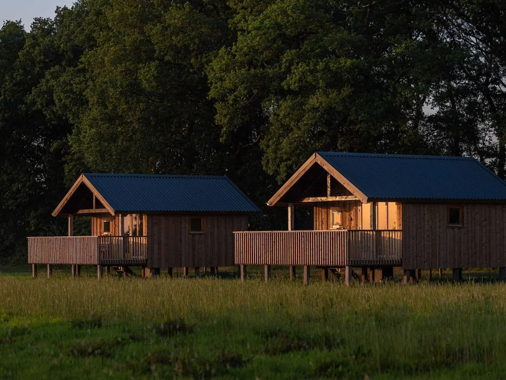 Lodges in Drenthe With Scenic Meadow Views