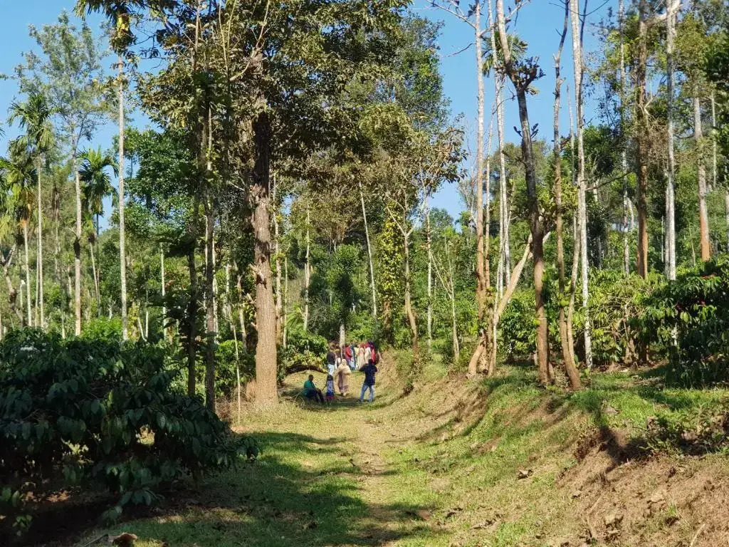 THE SUVISTARA WAYANAD KERALA