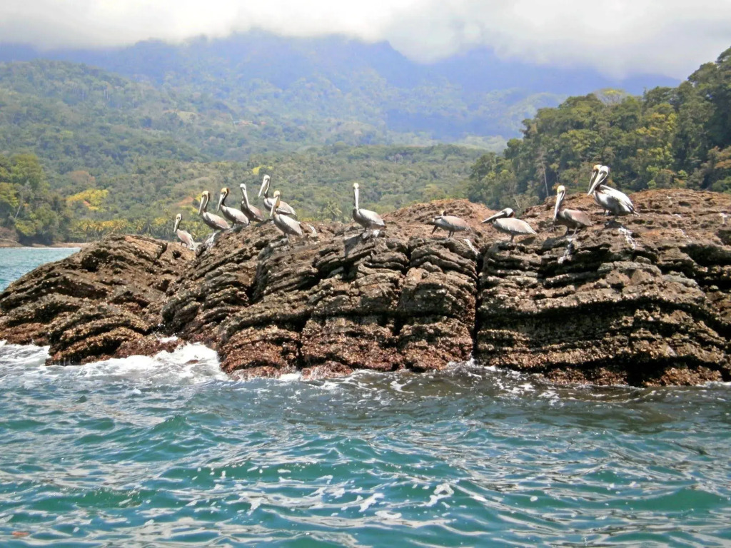 Cristal Ballena Boutique Hotel & Spa