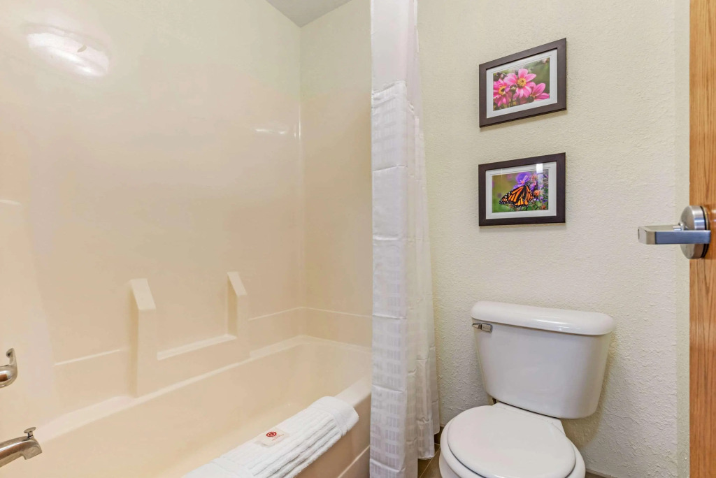 Comfort Inn & Suites near Route 66