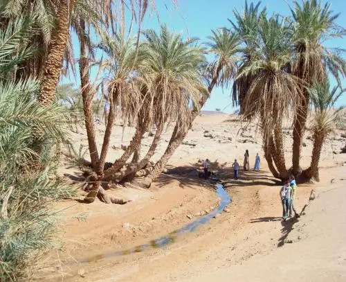 Bivouac Mhamid