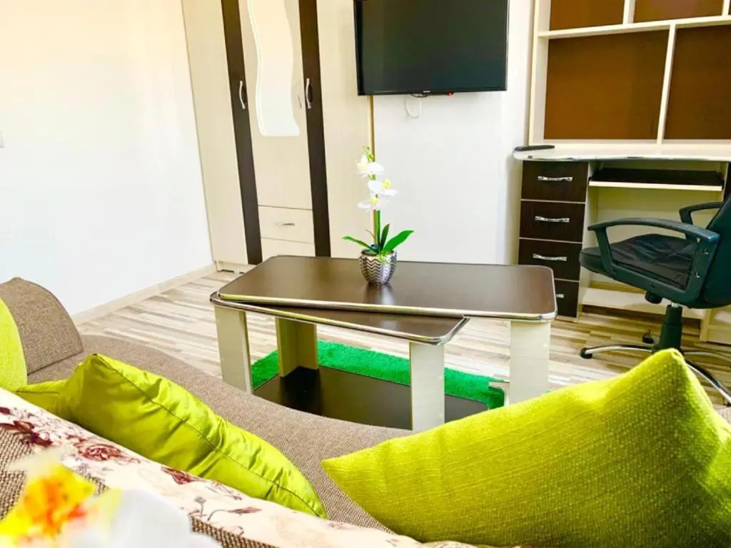 Central 2 bedrooms apartment near Palas Mall