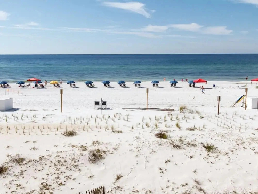 Pelican Isle 214 - Good Times & Beachlines