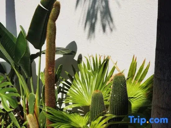 There are three Moroccan Boutique Holiday Homestays in Beicheng