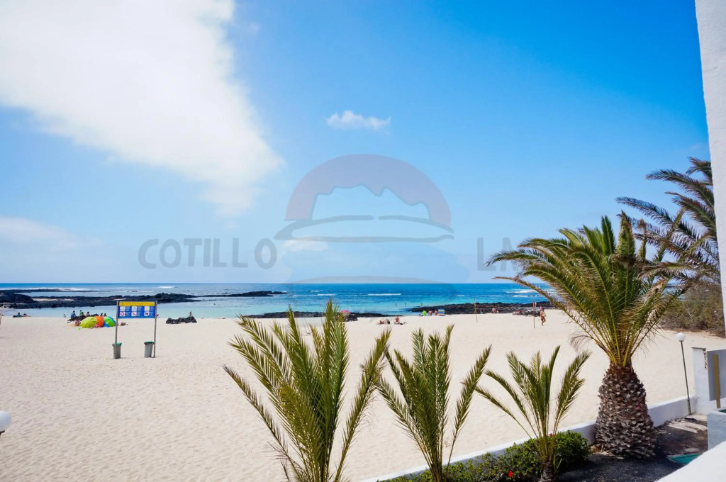 Cotillo Lagos