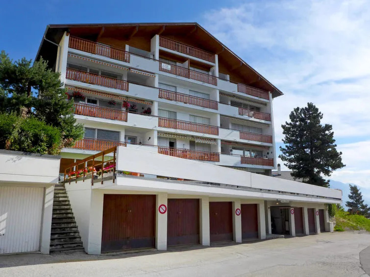 Les Pins Crans-montana