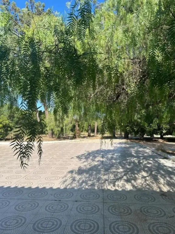 Quinta Verde Algarve