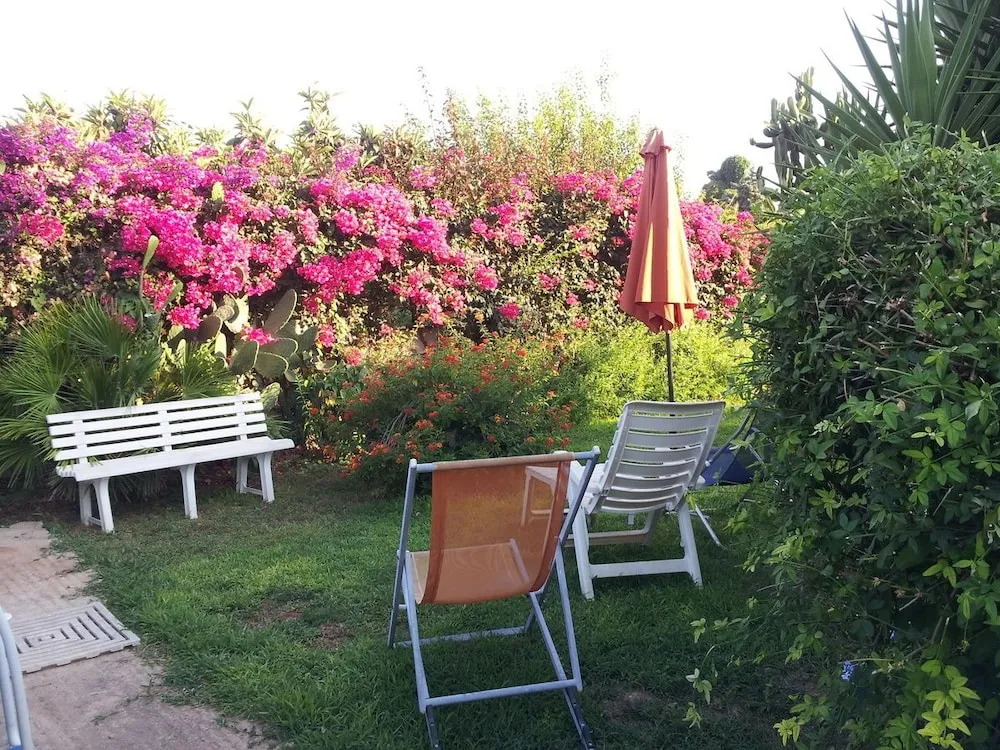 Bouganvillea