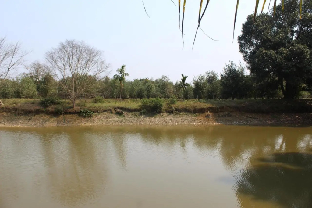 Chai Seeds Resort