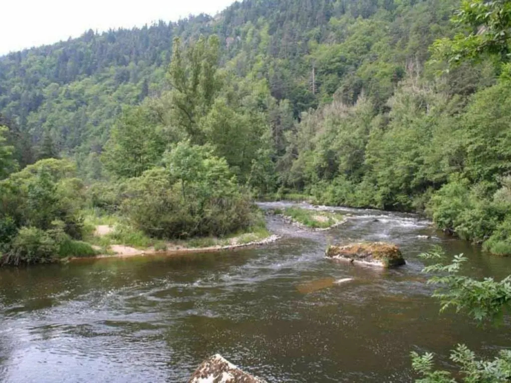 Gîte pittoresque en bord de rivière avec jardin clos, proche sports et sites touristiques - FR-1-582-176