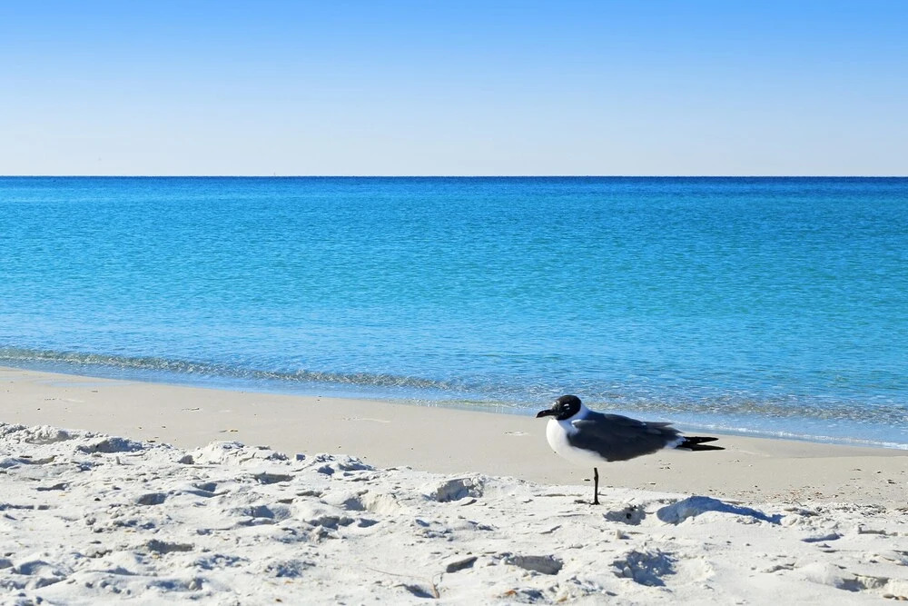 Habby Times  by Best Beach Getaways