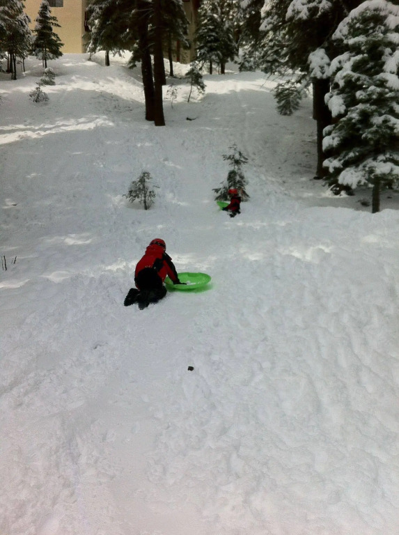 Luxury TreeHouse in Tahoe Donner