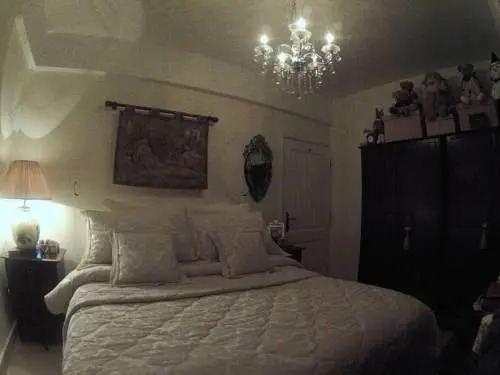 Tysons Manor
