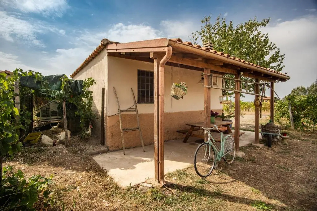 Un' Ottima Annata - La casa nel vigneto
