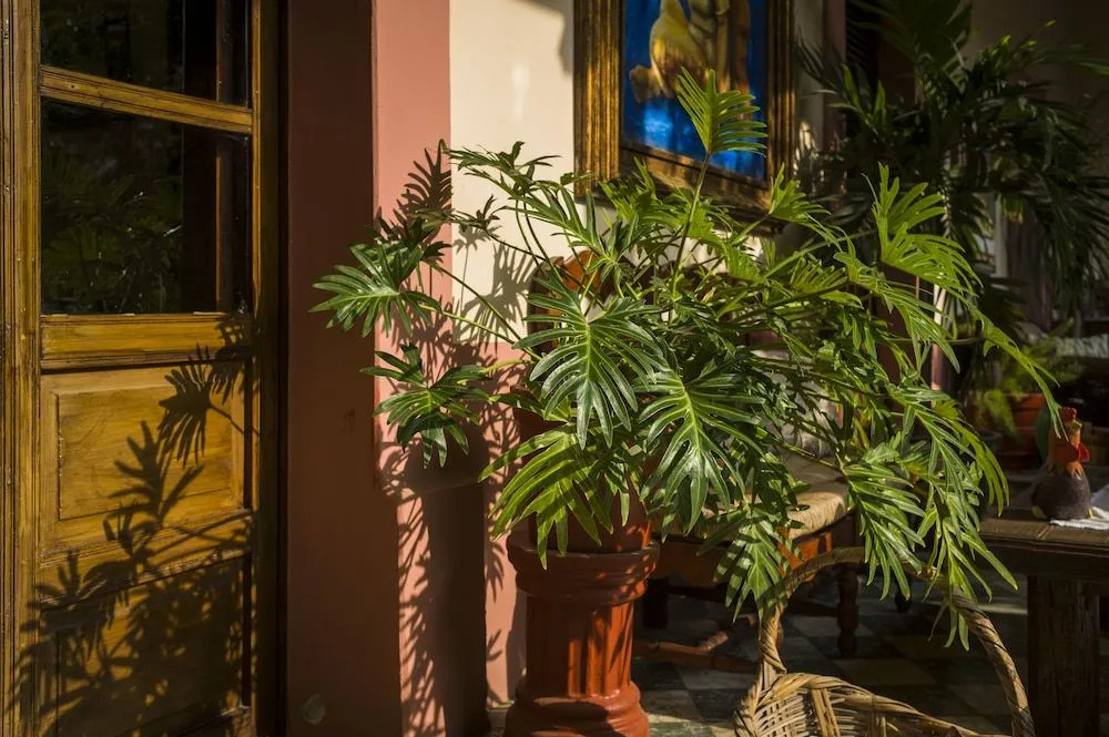 Santa Elena Hotel Boutique