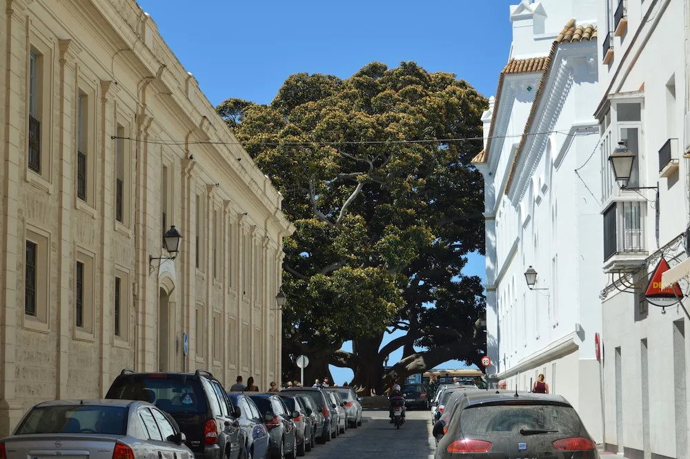 Apartamento La Viña