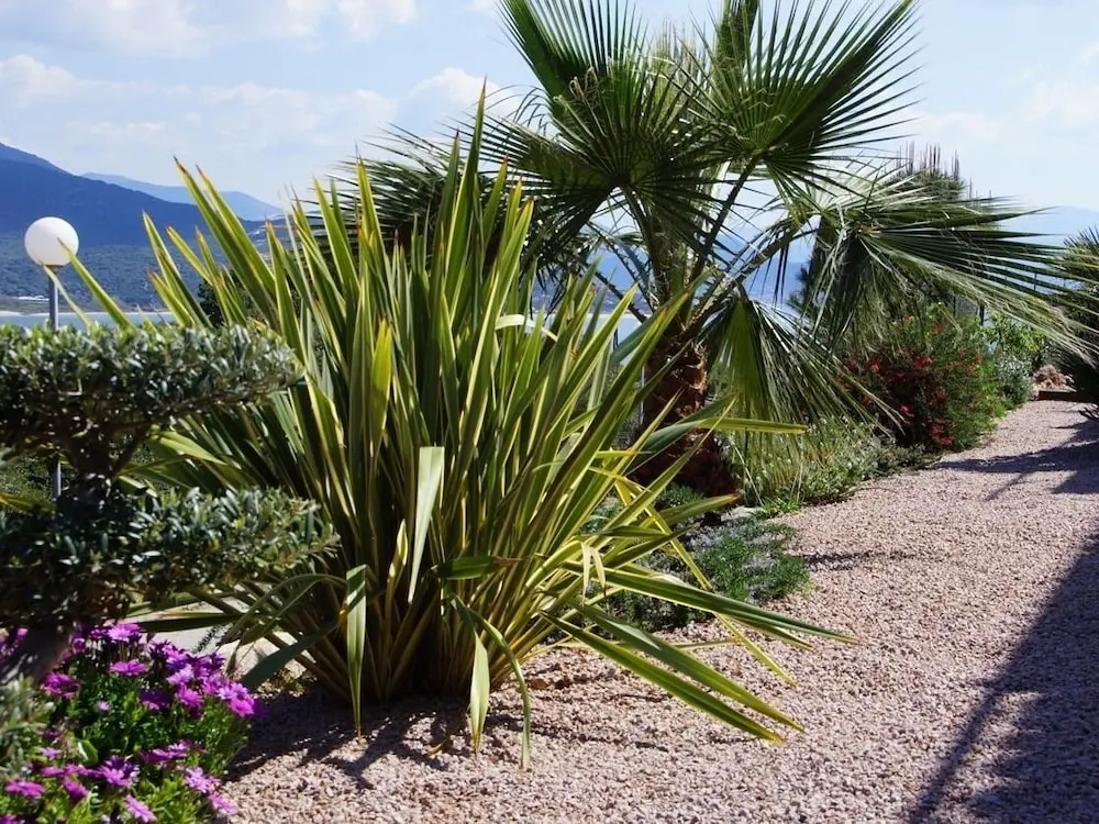 Casa Vista Mare