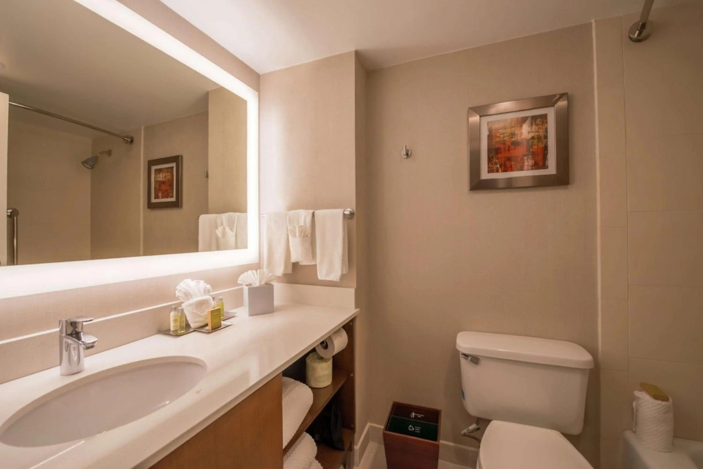 The Brookhaven Atlanta Hotel 