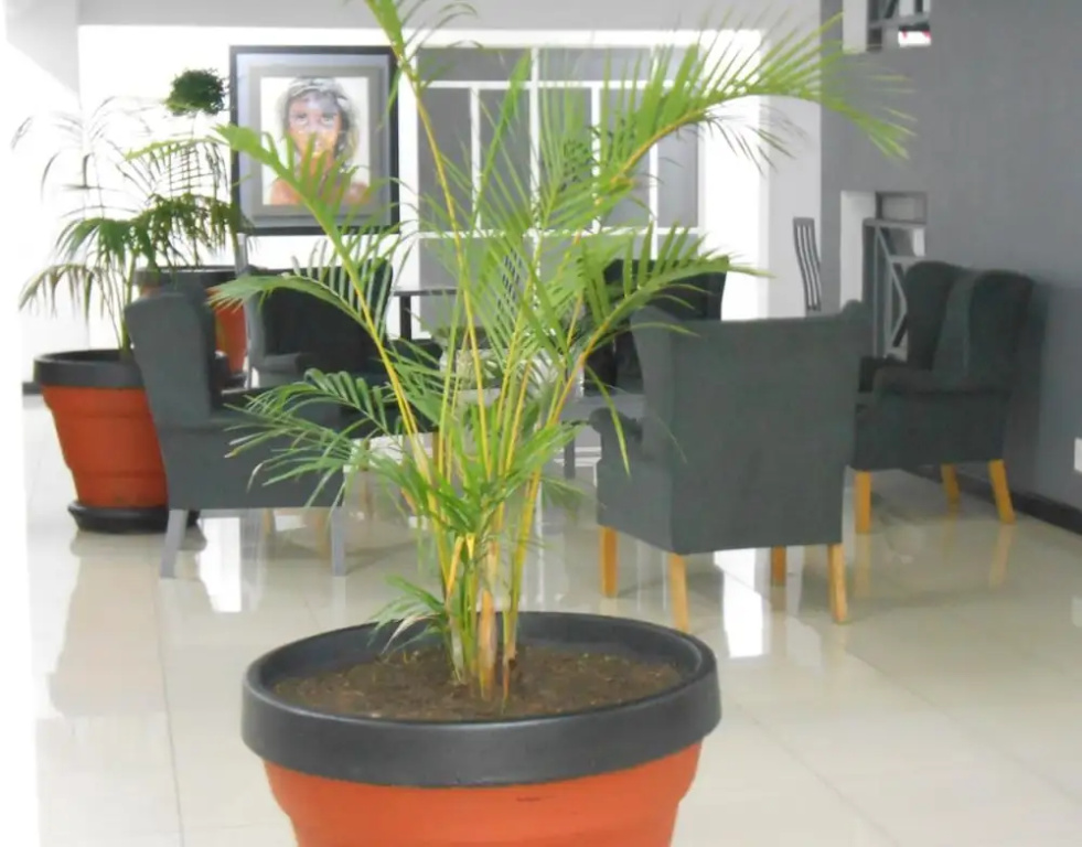 The Jack Rose Hotel, Rosebank, Gautrain