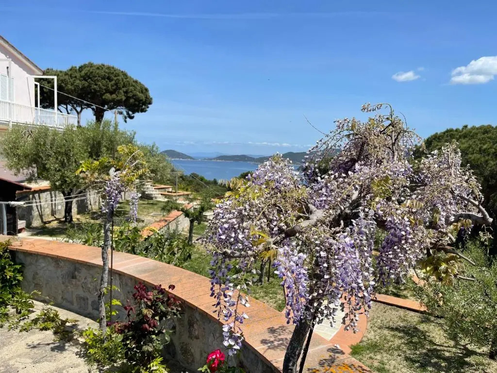 Villa Il Roseto Redinoce
